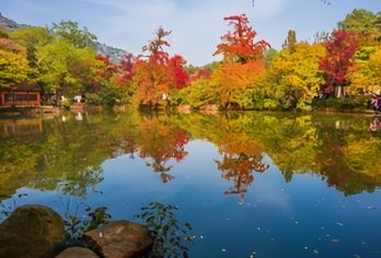 秋徒天平、灵岩两山一日游【秋色·天平山】观赏红枫银杏【| 1日新手线 | 姑苏地区经典徒步灵白部分路段，游览中国四大赏枫地，秋意正浓时节，觅谁染霜林醉】