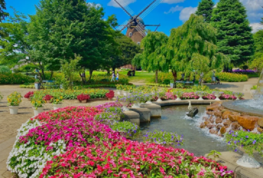 日本东京-千叶（欧风田园·德国村与童话公园线）包车游上门接送【欧式风情 + 童话体验】