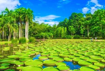预约植物园讲解【中高级专业讲解员+精品小团/高端亲子研学团】【1.够专业！植物和故事与讲解深度融合！2.有温度，服务是基本要求，感动才是最终目标！】