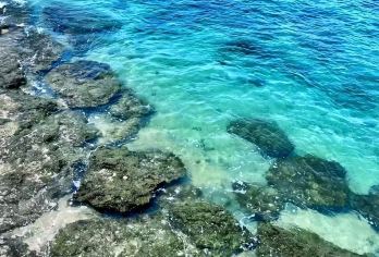 西岛纯玩一日游【海岛风情，椰风海韵，沙滩礁石，原始岛民村庄，及刚开发出来的乌龟滩，构成了原生自然画卷】