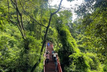 东莞往返清远英西峰林走廊+洞天仙境+峰林晓镇一日游可英文服务【可提供英文及小语种导游服务-往返接送-可选导游-可代订门票】