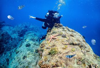 陵水双帆石深潜+摩托艇环双帆石+激情拖拽小黄鸭可选含拍摄【正规海域使用权； 专业服务团队； 国内自由潜第一潜水胜地； 初学者或者不会游泳体验潜水】