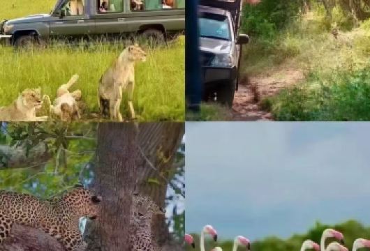 斯里兰卡科伦坡国立博物馆+独立广场+冈嘎拉马寺|中文司导带玩【探秘斯里兰卡精华景点，全天包车畅玩，行程可调，时间宽松，不早起不赶路，轻松漫游】