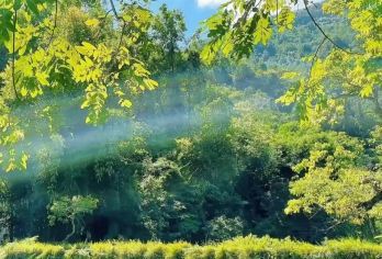 荔波小七孔景区向导【景区内部专业向导，土著居民，更懂风土人情】