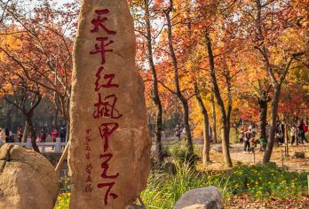 【私家团】天平山1.5H文史大咖深度精讲含门票|含耳机【[深度解读]登天平山，岂能只赏红枫？文史大咖亲授，揭秘范氏义庄“高义园”的济世密码】