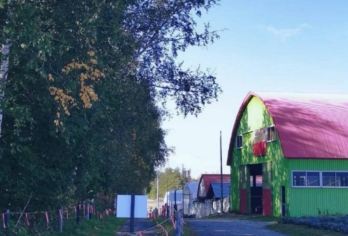 日本北海道-札幌往返-美瑛-富良野-旭川-红叶/冬季必打卡【专业行程定制，精选热门景点，高效游玩不走回头路，贴心服务保障，轻松】