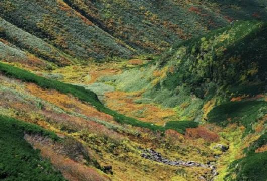 日本北海道大雪山国立公园+层云峡【秋季赏枫徒步/中文专车】【尊享一对一高端行程定制，豪华包车专属礼遇，专业旅行顾问24小时恭候垂询。】