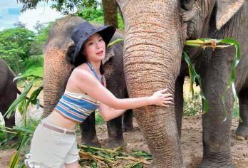 纳财大象营一日游【黏黏瀑布+大象洗澡+竹筏漂流半日游】【上门接送】