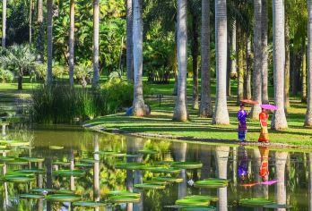 中国科学院西双版纳热带植物园+曼远村一日游【精品私家专享】【臻选6人内小团，上门接送，出发游览时间随意，无购物无隐形消费；】