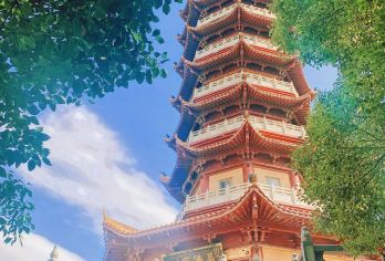 湖南岳阳楼+中华大熊猫苑+君山岛+圣安古寺一日游可英文服务【可提供英文及小语种导游服务-往返接送-可选导游-可代订门票】