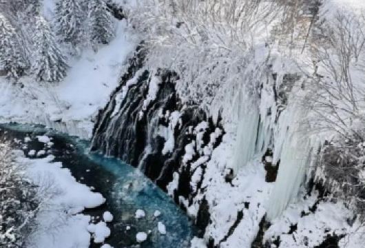 日本札幌往返+旭山动物园+白须瀑布+七星之树+青池/私家包车【专属客服和本地中文司机，一家一团包车】