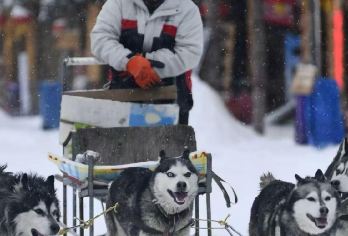 【拼小团】雪乡纯玩1日游【体验亚布力冰雪风情，邂逅童话雪乡的浪漫。一日览尽北国冬韵，是感受冰雪魅力的难忘短途之旅。】