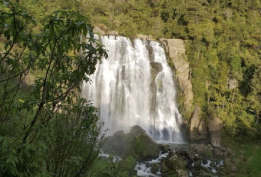 新西兰奥克兰-汉密尔顿+陶朗加一日游【中文专车-惬意舒适】【中文专车出行，行程自己定义，无需等待，专属贴心服务，尽享惬意旅程】