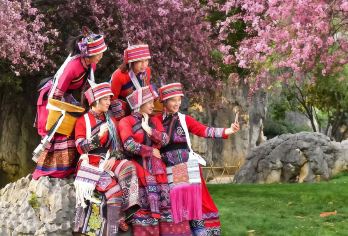 石林+九乡纯玩一日游【二环车接◆可选15人轻奢小团◆新线路】【[纯玩保证]多套餐可选，一天玩转两大景点，AAAAA级景区地上看石林+AAAA级景区地下探九乡。】