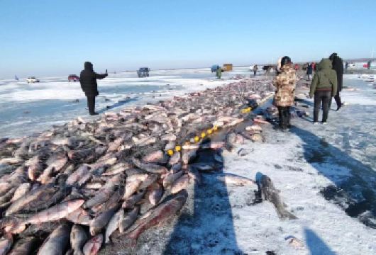 【去冬捕】抢C位 查干湖冬捕 感受东北渔猎文化 全程暖车等候【亲子游、闺蜜游、家庭游、蜜月游、商务游】