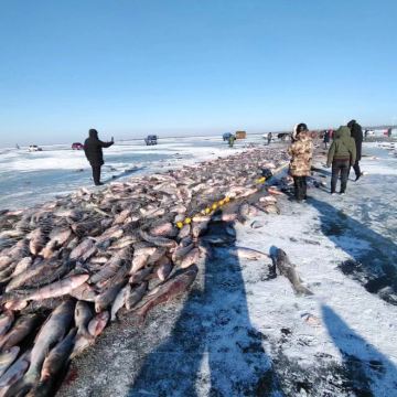 【去冬捕】抢C位 查干湖冬捕 感受东北渔猎文化 全程暖车等候