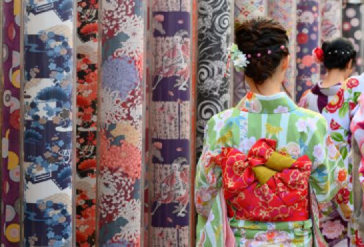 京都全景一日游丨二条城&金阁寺&伏见稻荷&岚山美景一日游【英文&中文导游热情专业，带您畅游京都、宇治，尽享古韵与抹茶魅力！】