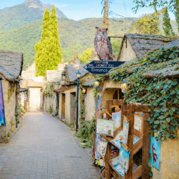 大分一日游 太宰府+汤布院+别府空中缆车+灶地狱 福冈发