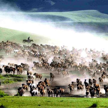 山丹皇家军马场景区一日游【市内免费接送·纯玩无购物·自由行】