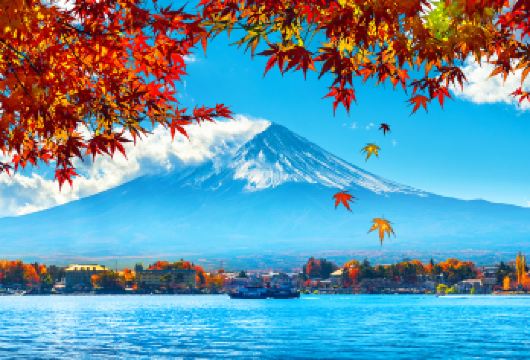 【限时特价】富士山INS热门景点1日游,天梯小镇,河口湖【一日游览富士山INS热门美景，拍摄记录美好时光】