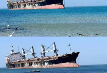 一条线路从日系密道到沉船秘境，玩转威海打卡半日游【专业领队+向导,全程带玩。】