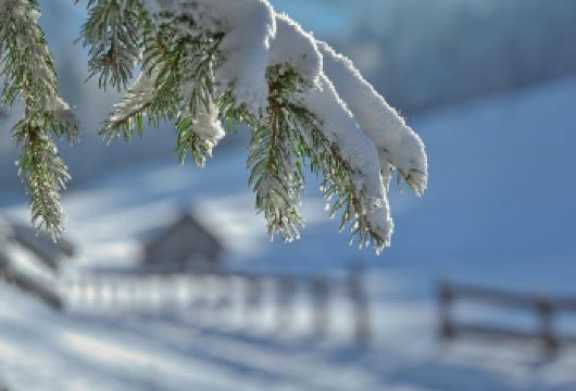 挪威特罗姆瑟｜接送机+峡湾海景精华打卡【全境全境畅销路线】【[全程无忧出行]包车配备专属车辆，行李存放安全便捷】