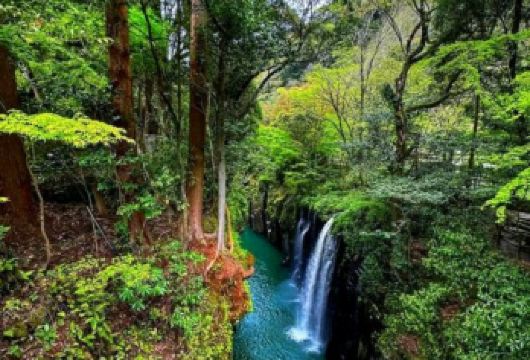 日本熊本+阿苏山+草千里+熊神社+高千穗峡-经典火山行程【专属客服和本地中文司机，一家一团包车】