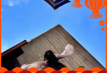 【金陵说·私家团】牛首山/大报恩寺 人工讲解 |不含门票交通【[签约讲师]持有国家导游证\讲解证，一线工作经验10年以上，有责任心，能根据听众的兴趣，灵活讲解。】