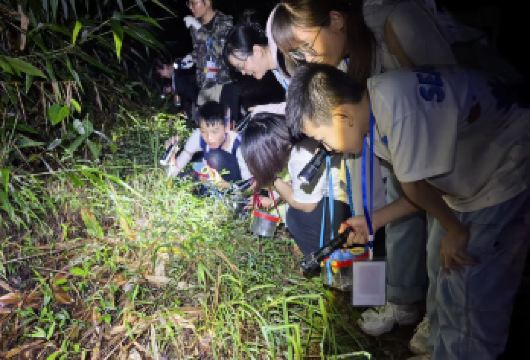 西双版纳天源虫谷夜游【夜探昆虫+科普解密】【[研学科普]雨林探秘昆虫世界】