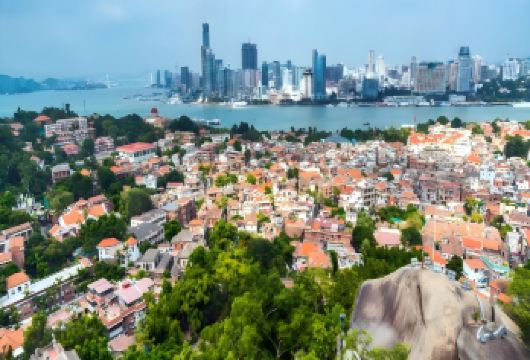 厦门鼓浪屿一日游【含往返船票+专业导游讲解+指定地点接站】【指定地点集合上车[环岛路沿线一带黄厝，曾厝垵，中山路海滨大厦集合]具体以导游通知为准】