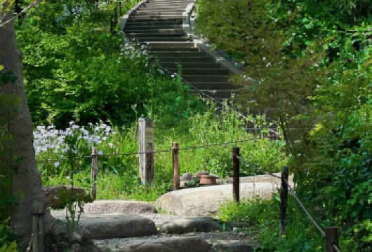 日本横滨红砖仓库+三溪园+冰川丸+八景岛海岛海岛乐园一日游【专车出行，景点灵活调整，打卡经典，游玩自己定义，无需等待，专属贴心服务，尽情惬意旅程。】