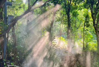 【纯玩|金牌导游】帆船出海+厦门大学+植物园+南普陀寺一日游【[高性价比|清晰透明]费用包含景点门票、交通、导游服务，无隐形消费，让您轻松出行，省钱又省心！】