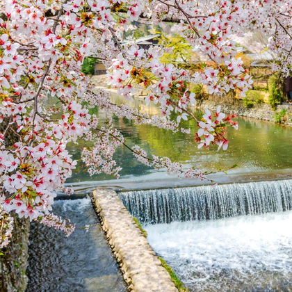 日本京都岚山一日游