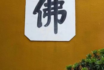 舟山普陀风景区一日游「祈福许愿还愿.静心禅行之旅」【[精心安排] 天天发团。祈福、许愿、还愿必到精华景点。】