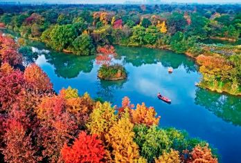 杭州-西溪湿地-武状元坊-龙井村-九溪烟树茶文化中英文小团R【西溪湿地的游船带你穿过一帧又一帧美丽的野趣画卷，这是游江南山水的气质玩法~】