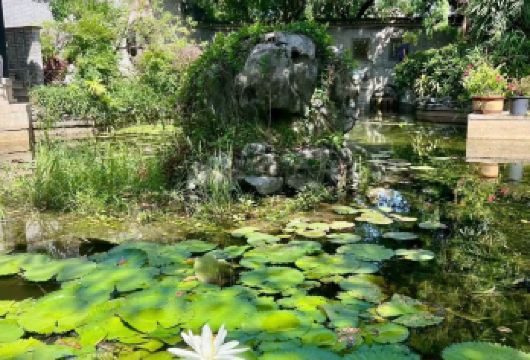 私家包团+佛山祖庙醒狮+顺德清晖园+逢简水乡一天游+上门接送【私家旅行，一单一团，上门接送，专职司机护航，含门票 精华旅程：全程甄选有代表性、热度高的精华景点】