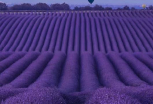阿维尼翁+瓦朗索勒薰衣草+陶瓷小镇+圣十字湖邂逅普罗旺斯秘境【瓦朗索勒：紫色花海编织的浪漫梦境，被称为 “太阳之谷”，是普罗旺斯地区樶辽阔的薰衣草种植地】