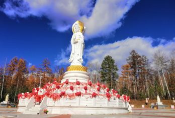 漠河+北极村+观音山采金小镇景区+李金镛祠堂一日游【了解中国最北的地理标志｜北极村中国最北的村庄｜有“神州北极”之称，可体验极昼、极光等自然奇观】
