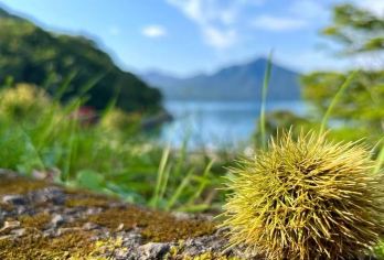 日本北海道登别+樽前山+支笏湖一日游【中文包车+多日优惠】【尊享一对一高端行程定制，多日豪华包车专属礼遇，专业旅行顾问24小时恭候垂询。】