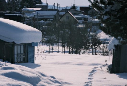 日本北海道旭川美瑛｜白须瀑布｜孤独圣诞树｜札幌往返｜中文专车【尊享一对一高端行程定制，多日豪华包车专属礼遇，专业旅行顾问24小时恭候垂询。】