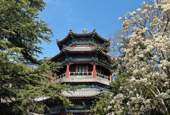 可选上门接·天坛联票+颐和园+圆明园一日活动【提前一天可退】