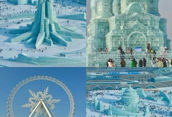 哈尔滨冰雪大世界+中央大街+索菲亚大教堂+极地公园包车一日游【专车接送，行程可调整】