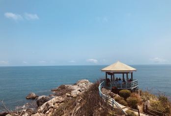 西岛+南山寺包车深度一日游【可定制，随心游】【体验度极好：体验都市历史文化和风土人情】