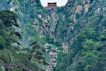山东泰安 泰山一日游----“泰山安，四海皆安”【游览岱庙、普照寺、碧霞祠、经石峪刻石、 灵岩寺】