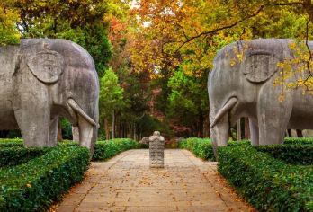商务车丨英文导游丨中山陵+明孝陵+牛首山+夫子庙+瞻园1日【[精选景点]南京网红牛首山深度漫游，中山陵和明孝陵寻民国故事！】