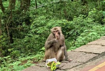 黔灵山公园+花溪夜郎谷+甲秀楼+青云集市+花果园白宫—双子塔【壮丽的自然风光、独特的美食体验、慢生活与烟火气。】