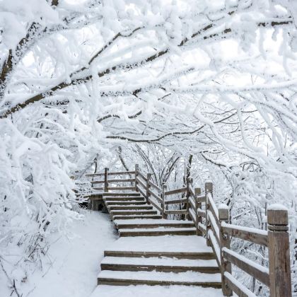 汉中出发米仓山·光雾山赏雪1日游