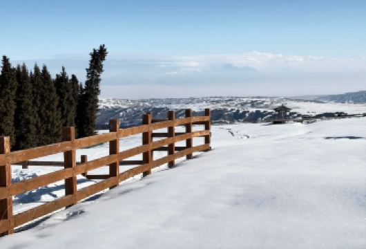 新疆南山牧场一日游【纯玩 往返空调旅游大巴+景区首道门票】【乌鲁木齐出发往返，直达景区】