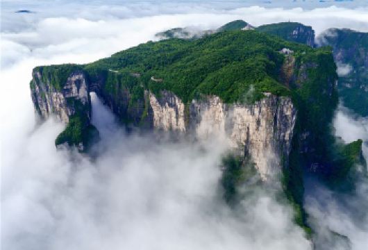 【DIY私家团】天门山国家森林公园一日游 可选A线VIP通道【[专享服务]定制私人旅游，可选热门A线、VIP通道服务，优先通行，大幅减少排队，数量有限先到先得！】