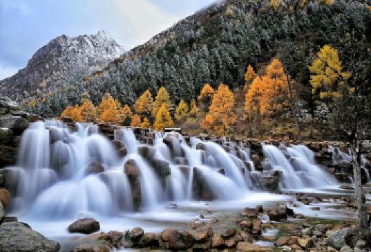 毕棚沟+都江堰南桥夜景【VIP包车游1单1团1车丨上门接送】【[纯玩出行]出发时间可自由调节，全程不进购物店，无隐形消费，行程透明，请放心旅行哦~】